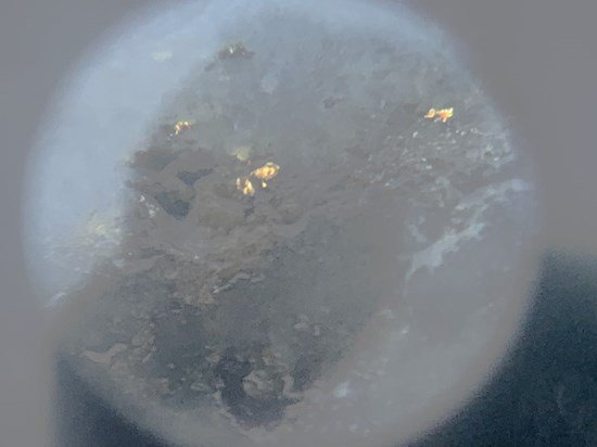 Arya Resources Continues to Intersect Visible Gold at Wedge Lake Gold Project, Saskatchewan