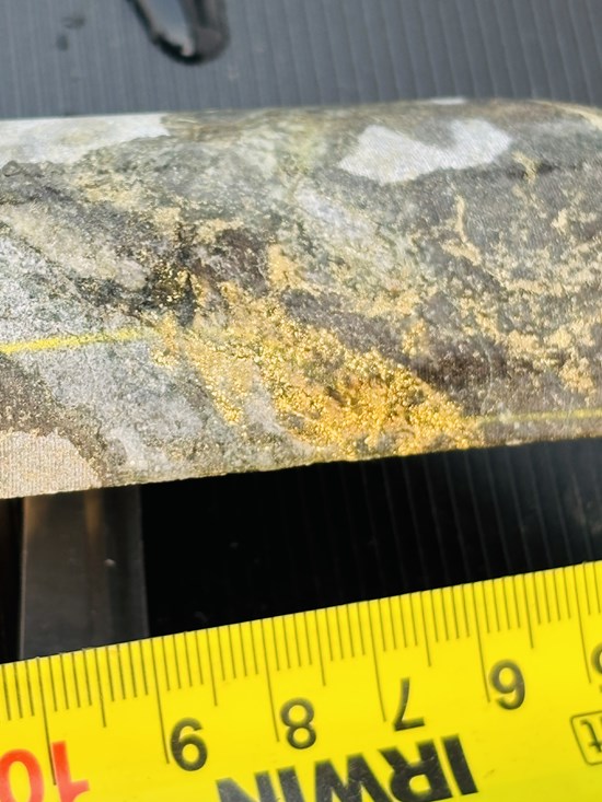Dynasty Gold Discovers Visible Gold in Previously Drilled Core and Commences Exploration at Thundercloud Project in Ontario
